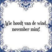 Tegeltje met Spreuk (Tegeltjeswijsheid): Wie houdt van de wind, november mint! + Kado verpakking & Plakhanger