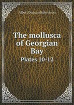 The mollusca of Georgian Bay Plates 10-12