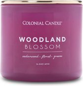 Colonial Candle – Pop Of Color Woodland Blossom - 411 gram