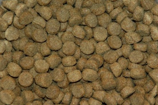 Wielink Krokante Blanco hondenbrokken 15 kg