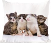 Sierkussen - Kat Huisdieren Vacht Portret - Multicolor - 40 Cm X 40 Cm