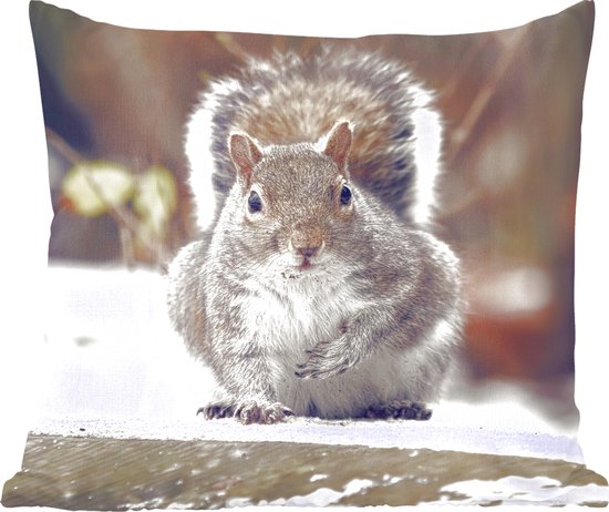 Sierkussens - Kussen - squirrel crumbs and snow - 60x60 cm - Kussen van katoen