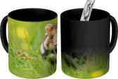 Magische Mok - Foto op Warmte Mokken - Koffiemok - Europese hamster in het gras - Magic Mok - Beker - 350 ML - Theemok