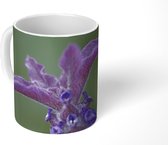 Mok - Close-up van lavendel vervaagde achtergrond - 350 ML - Beker