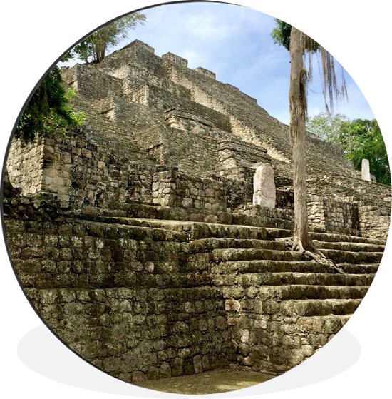 Wandcirkel Calakmul aluminium - boom optrap vanMaya tempel in Calakmul - ⌀ - rond schilderij - fotoprint op aluminium / dibond / muurcirkel / wooncirkel / tuincirkel (wanddecoratie)