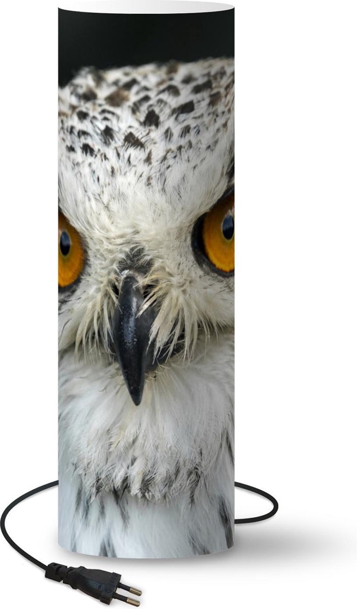 Lamp - Nachtlampje - Tafellamp slaapkamer - Uil - Zwart - Vogels - 70 cm hoog - Ø22.3 cm - Inclusief LED lamp