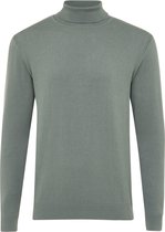 ELAM | Basis coltrui rollneck in grijsgroen