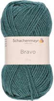 Bravo Wol - 50 gram -  Groen/Blauw