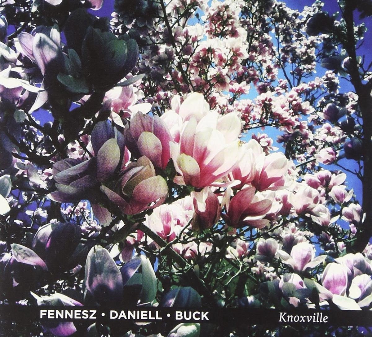 Fennesz, David Daniell, Tony Buck - Knoxville (LP) (Limited Edition)