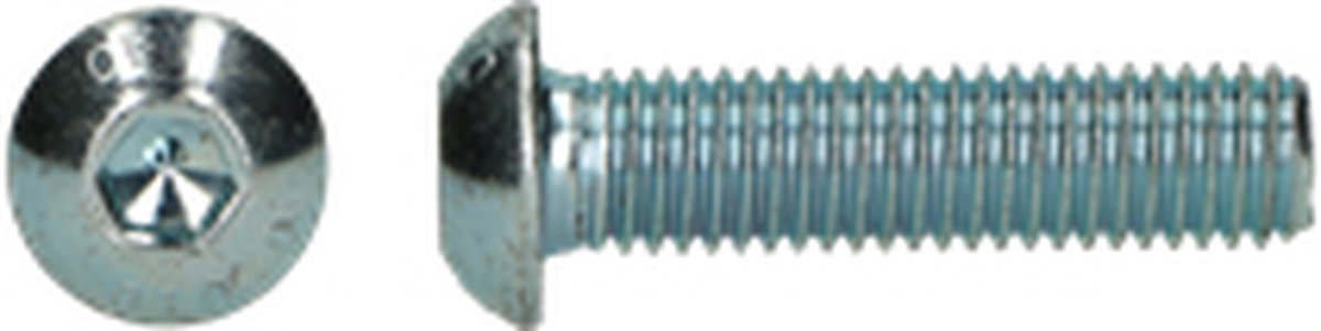 Wovar Inbusbouten Verzinkt M6 x 20 mm met Lage bolkop | 200 stuks