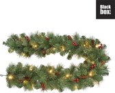 Black Box Trees - Warth slinger led groen 30L TIPS 120 werkt op batterijen - l180xd25cm- Kerstbomen