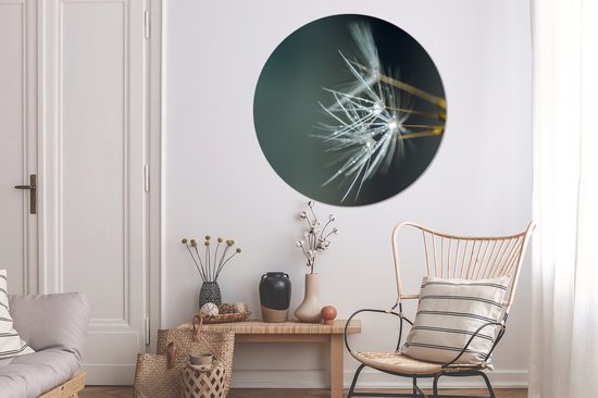 Graines de pissenlit recouvertes d'autocollant de papier peint de cercle de mur de rosée précoce ⌀ 140 cm / cercle de papier peint / cercle de mur / cercle vivant - autocollant et coupe ronde