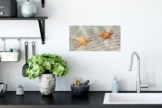Stickers muraux - Étoile de mer - Water - Plage - 40x20 cm - Film adhésif