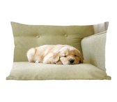 Sierkussens - Kussen - Een slapende Golden Retriever puppy op de bank - 50x30 cm - Kussen van katoen