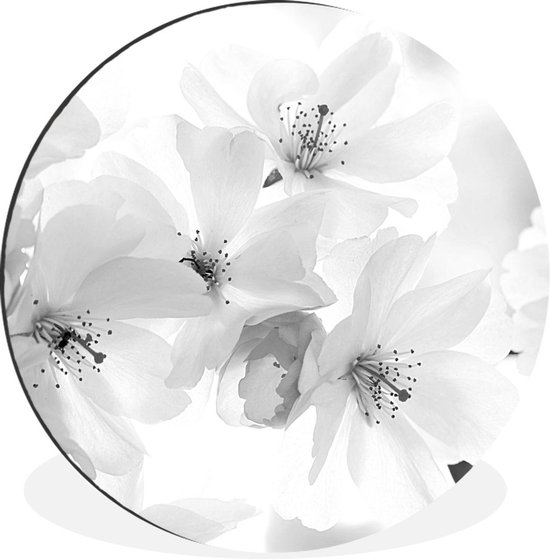 Wandcirkel - Aluminium - Macro foto van bloesem van een kersenboom - zwart wit - ⌀
