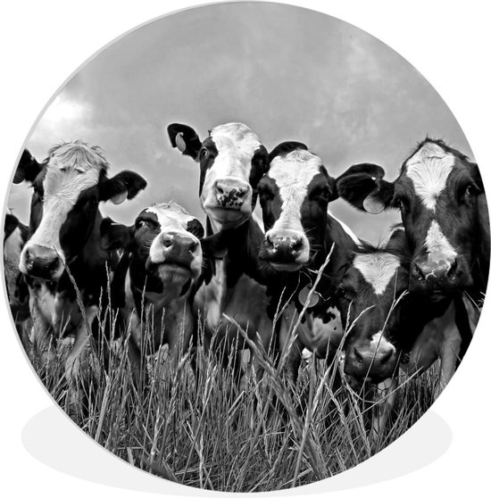 WallCircle - Wandcirkel ⌀ 60 - Grijze lucht boven de kudde Friese koeien - zwart wit - Ronde schilderijen woonkamer - Wandbord rond - Muurdecoratie cirkel - Kamer decoratie binnen - Wanddecoratie muurcirkel - Woonaccessoires