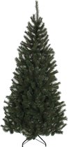 Sapin de Noël artificiel Black Box Kingston - 155 x 86 cm - 345 branches - Vert