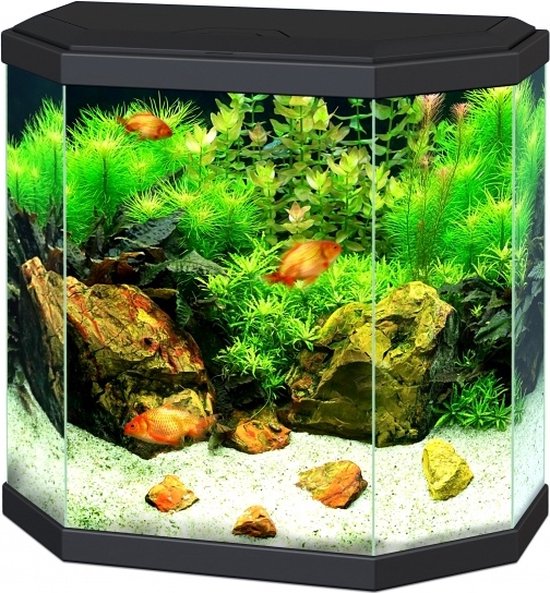 koel hulp in de huishouding leiderschap Ciano Aquarium Aqua 30 LED Zwart | bol.com