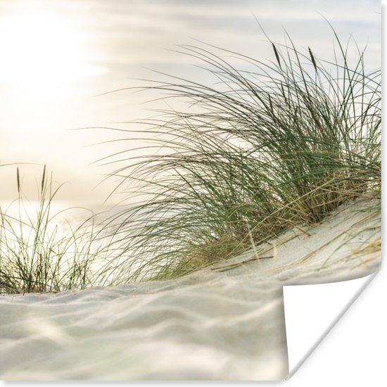 Poster Duinen met helmgras onder de zon van het Duitse nationaal Park Schleswig-Holsteinisches Wattenmeer - 75x75 cm