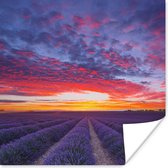Lavendelveld onder zonsondergang Poster 50x50 cm - Foto print op Poster (wanddecoratie woonkamer / slaapkamer)