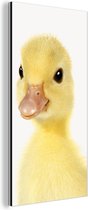 Décoration murale Métal - Peinture Aluminium Industrielle - Canard - Poussin - Doux - Enfants - Filles - Garçons - 80x160 cm - Dibond - Photo sur aluminium - Décoration murale industrielle - Pour le salon / chambre
