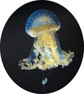 Blauw gele kwal - Foto op Dibond - ⌀ 40 cm