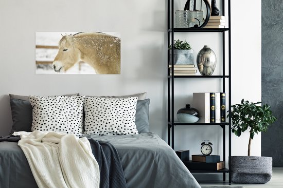 Poster Gros plan d'un cheval du fjord dans la neige - 80x40 cm