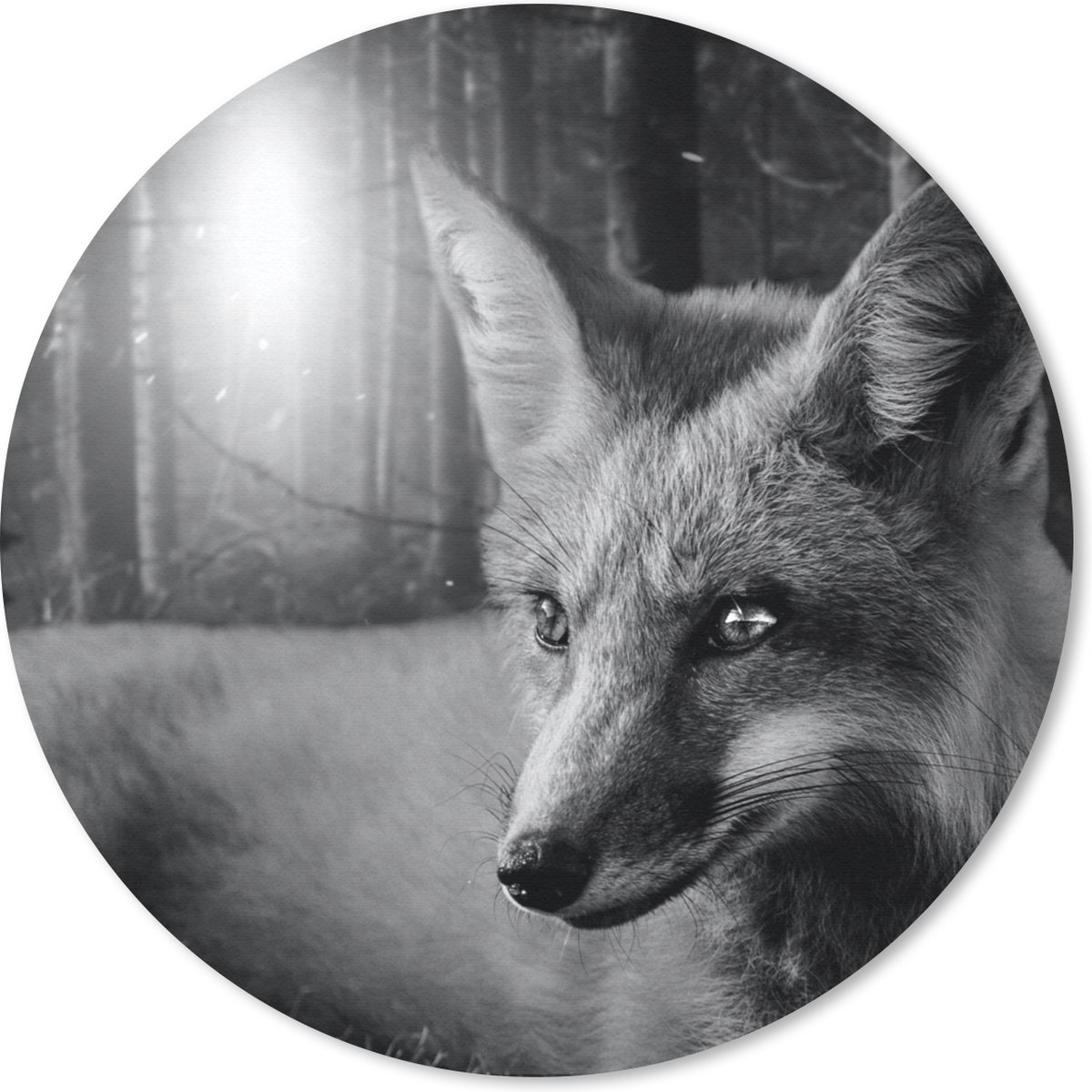 Muismat rond 30x30 cm - Mousepad Dieren - Vos - Bos - Zwart - Wit - Ronde muismatten