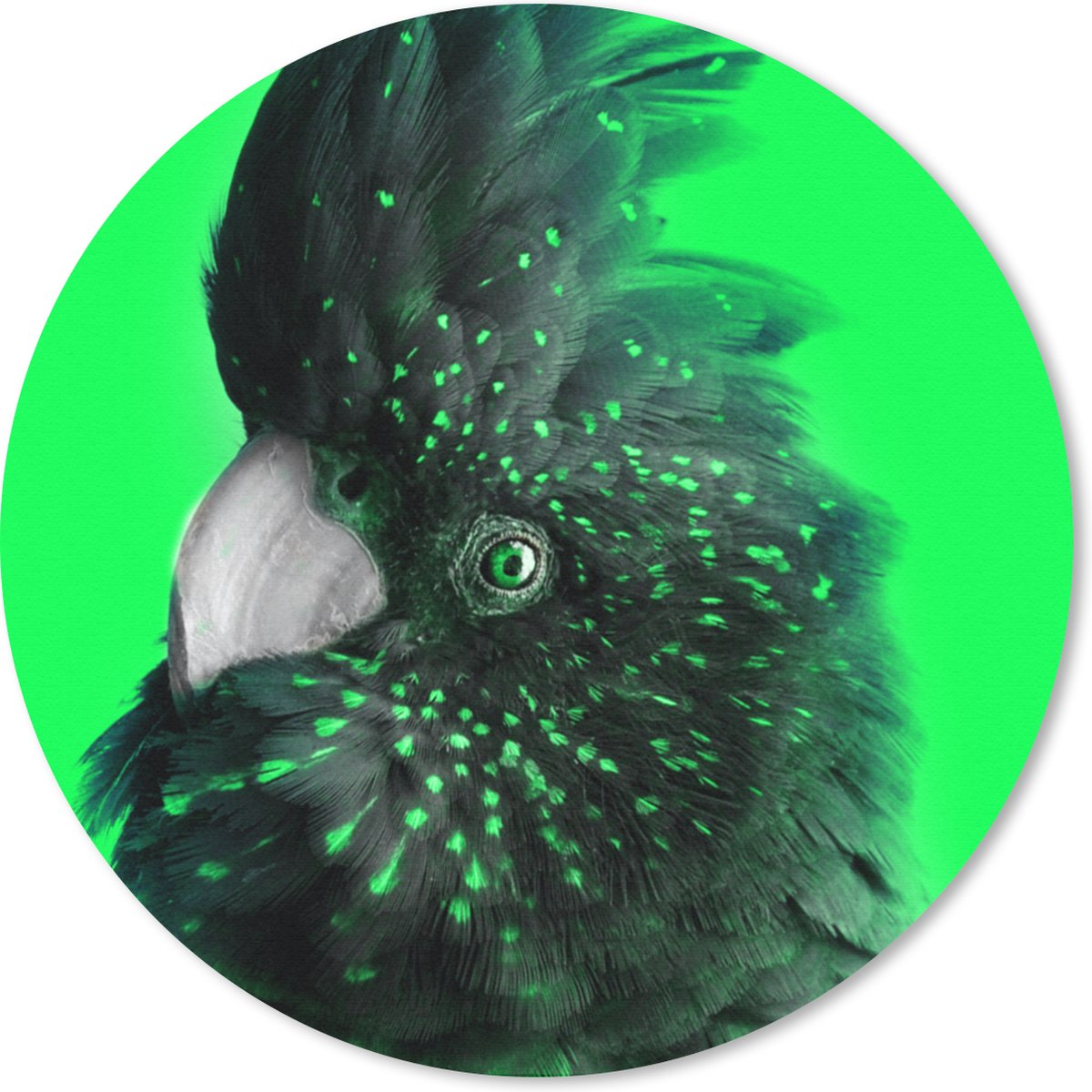 Muismat rond 30x30 cm - Mousepad Kaketoe - Groen - Zwart - Ronde muismatten