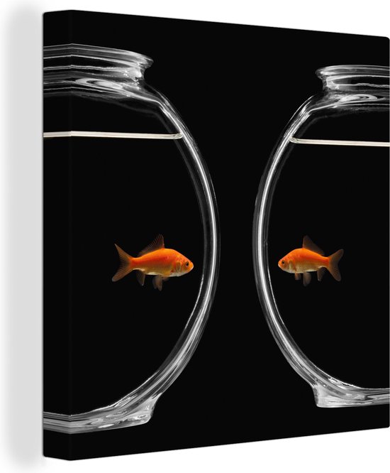 Poisson rouge séparé par une toile de verre 2cm 90x90 cm - Tirage photo sur toile (Décoration murale salon / chambre)