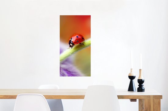 Affiche Coccinelle sur une fleur violette - 40x80 cm