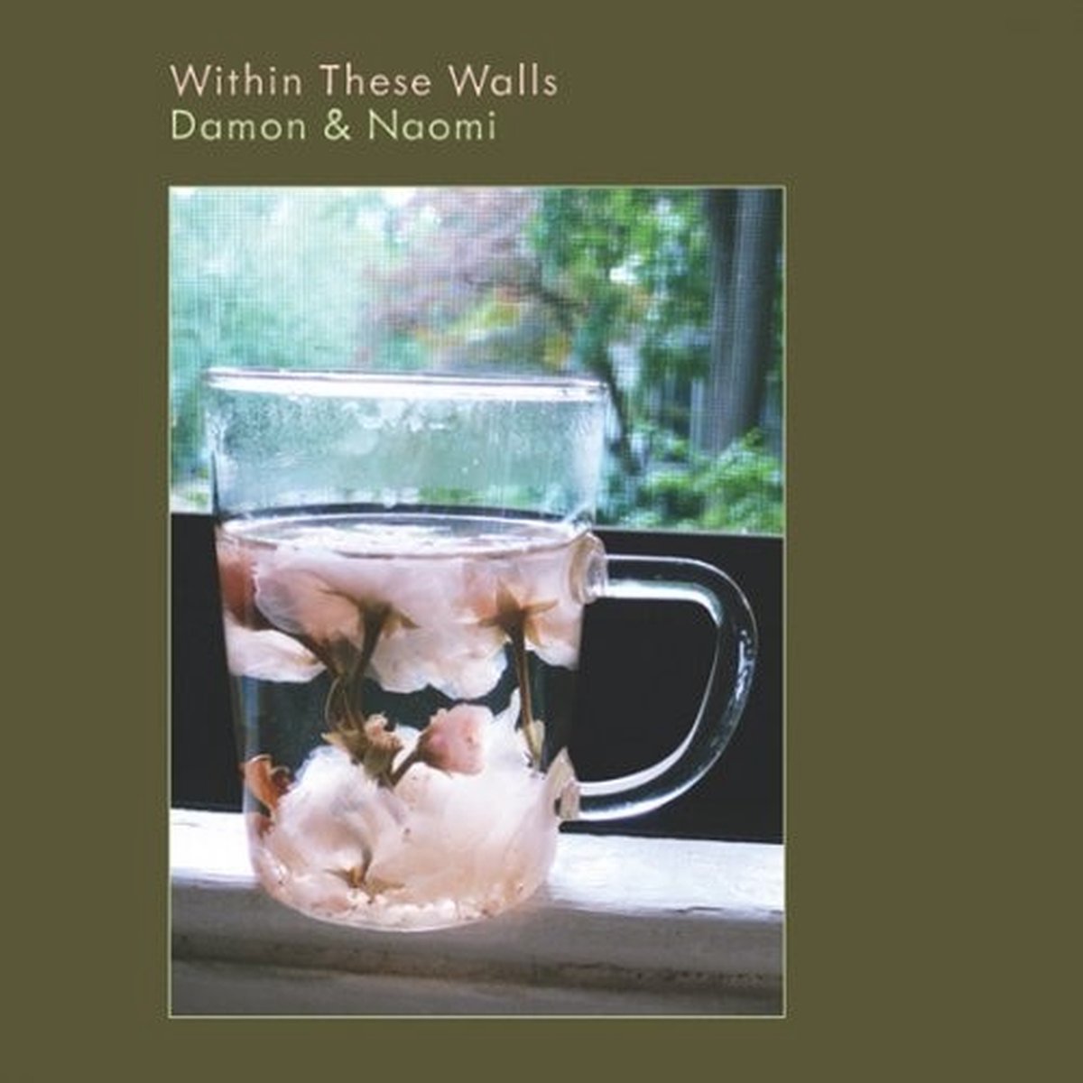 Damon & Naomi - Within These Walls (LP)