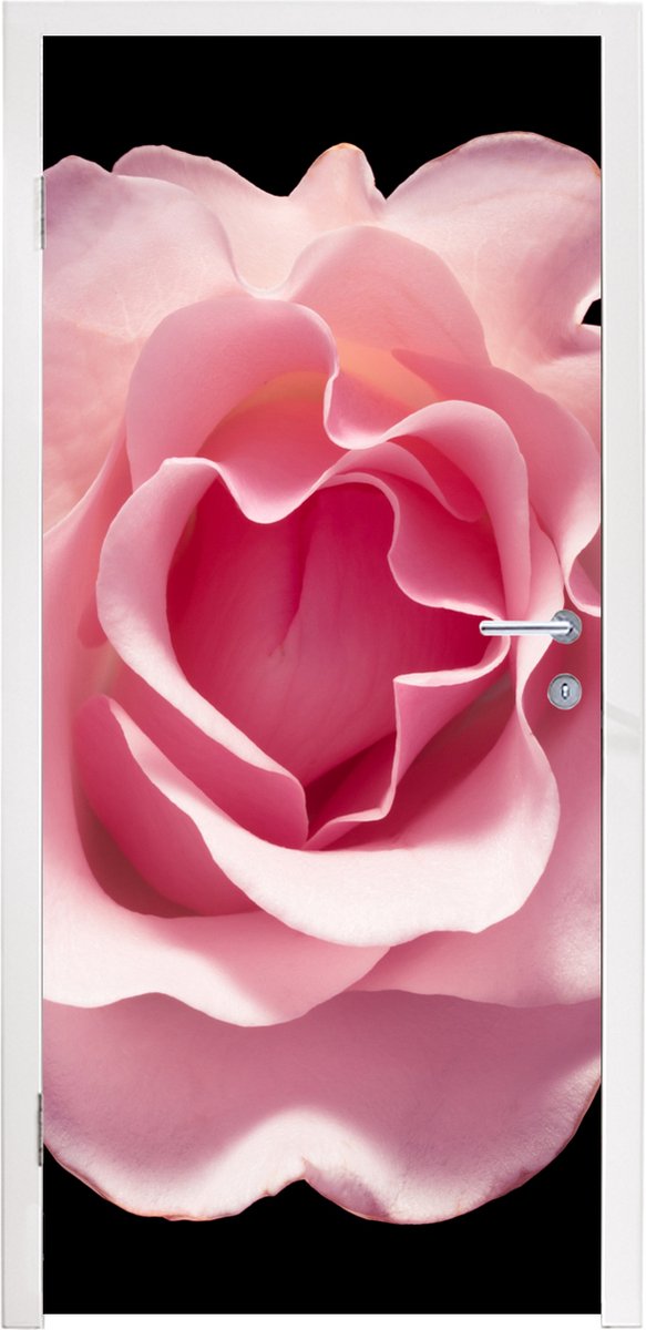 Deursticker Close-up van een roze roos vanaf boven - 75x205 cm - Deurposter