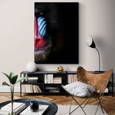 Poster Mandrill - Papier - 70x100 cm - Meerdere Afmetingen & Prijzen | Wanddecoratie - Interieur - Art - Wonen - Schilderij - Kunst