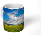 Mok - Rusland - Gras - Stenen - 350 ML - Beker