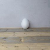Vaessen Creative Piepschuim - eieren - 21cm