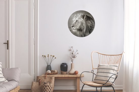 Lion regardant ailleurs cercle mural aluminium Aluminum 30 cm - impression photo sur cercle mural / cercle vivant / cercle de jardin (décoration murale)
