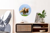 WallCircle - Wandcirkel ⌀ 30 - Paarden - Gras - Lucht - Ronde schilderijen woonkamer - Wandbord rond - Muurdecoratie cirkel - Kamer decoratie binnen - Wanddecoratie muurcirkel - Woonaccessoires