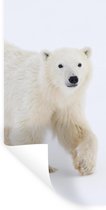 Muurstickers - Sticker Folie - IJsbeer - Sneeuw - Wit - 80x160 cm - Plakfolie - Muurstickers Kinderkamer - Zelfklevend Behang - Zelfklevend behangpapier - Stickerfolie