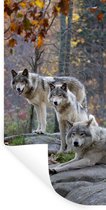 Stickers muraux - Loups - Rocher - Forêt - 20x40 cm - Film adhésif