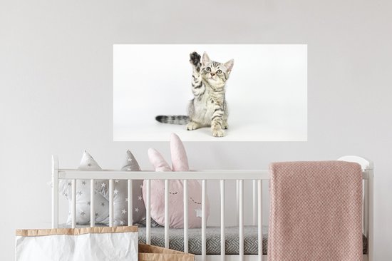 Stickers muraux - Chaton - Patte - Wit - 80x40 cm - Film Adhésif