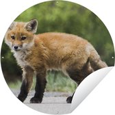 Garden Circle Fox - Puppy - Road - 60x60 cm - Affiche de Jardin Ronde - Extérieur