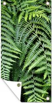 Poster jardin Fougères vertes - 40x80 cm - Décoration murale Outdoor - Poster jardin - Toile jardin - Poster clôture - Tableau jardin.