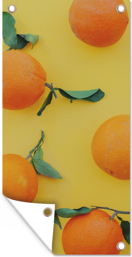 Tuinposter Citroen - Sinaasappel - Oranje - Geel - 30x60 cm - Tuindoek - Buitenposter