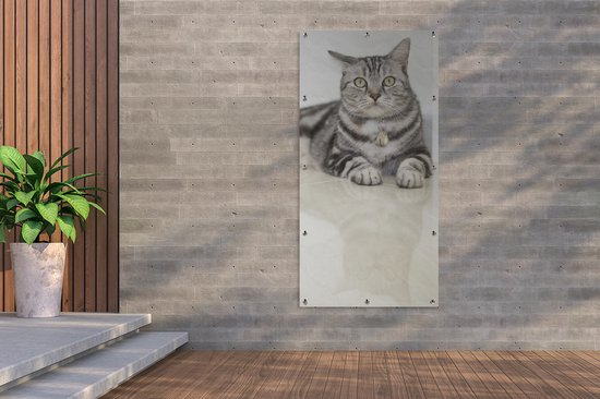 Décoration murale murale extérieure Chat - Grijs - Animal - 80x160 cm