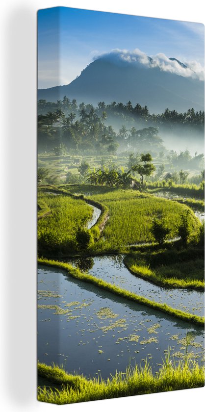Tableau sur toile Rizières à Bali - 40x80 cm - Décoration murale