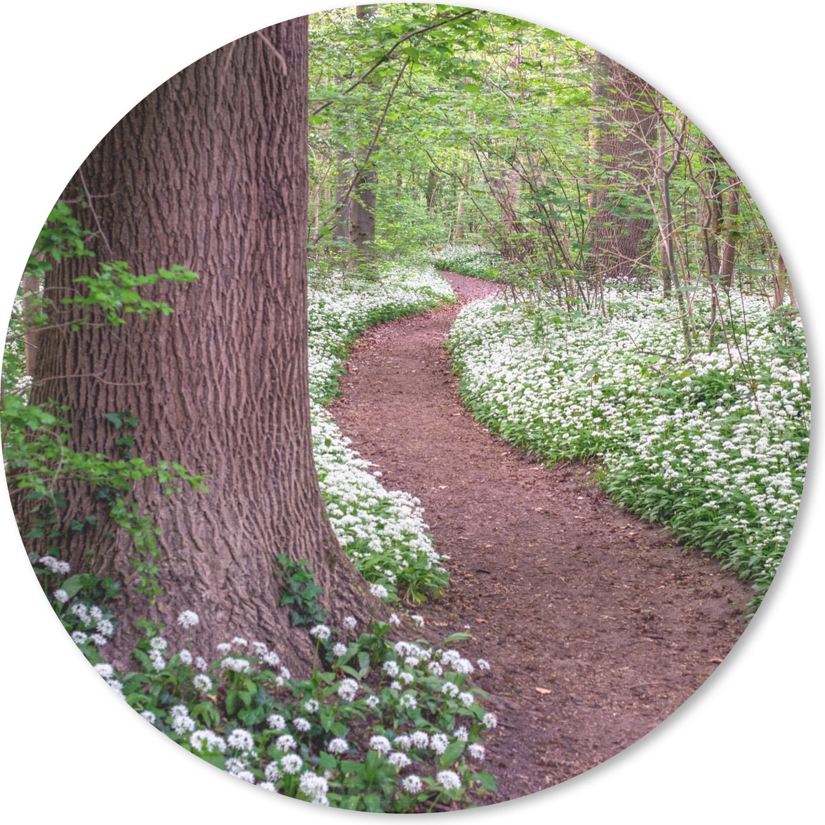 Muismat rond 50x50 cm - Mousepad Bos - Pad - Bloemen - Wit - Ronde muismatten