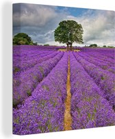 Champ de lavande violet avec un ciel nuageux toile 20x20 cm - petit - Tirage photo sur toile (Décoration murale salon / chambre) / Peintures sur toile Fleurs