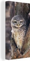 Toile Peinture Hibou - Arbre - Forêt - 20x40 cm - Décoration murale
