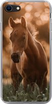 Geschikt voor iPhone 8 hoesje - Paard - Licht - Landschap - Siliconen Telefoonhoesje